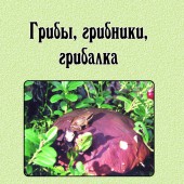 Презентация книги Б. А. Настенко «Грибы, грибники, грибалка»
